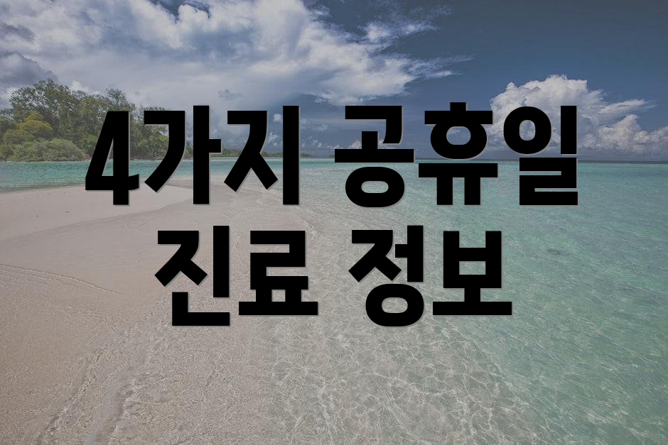 4가지 공휴일 진료 정보