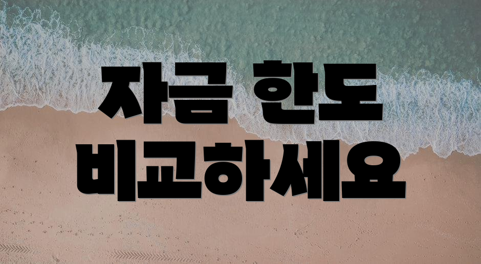 자금 한도 비교하세요