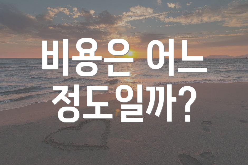 비용은 어느 정도일까?