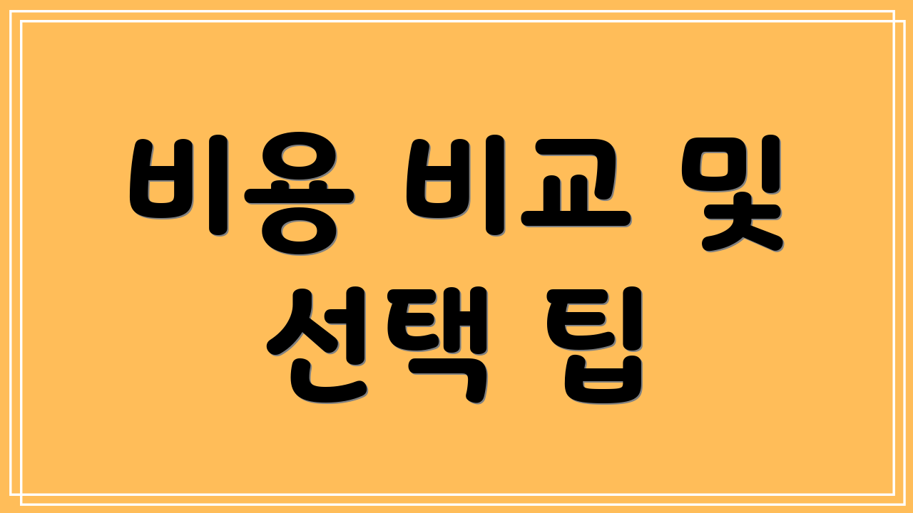 비용 비교 및 선택 팁