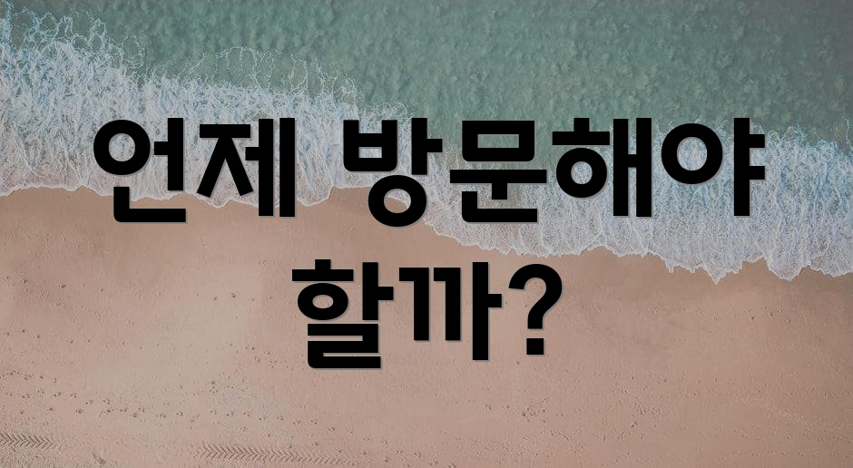 언제 방문해야 할까?