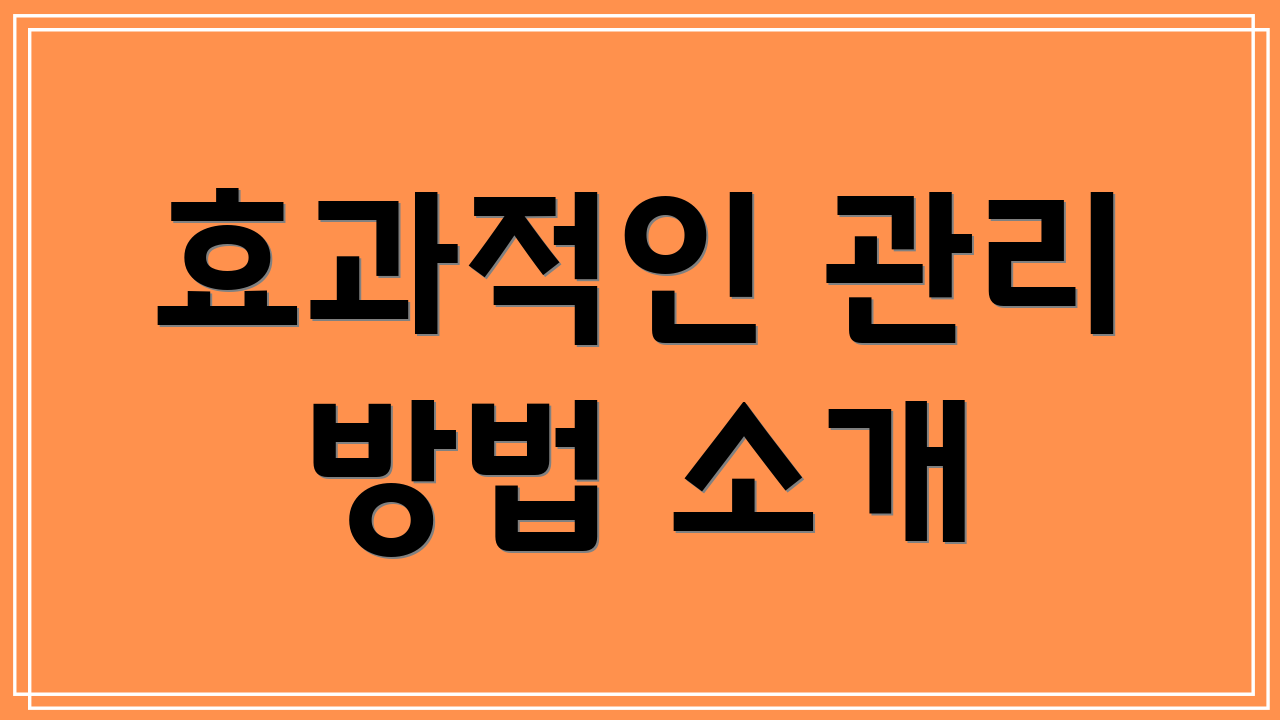 효과적인 관리 방법 소개
