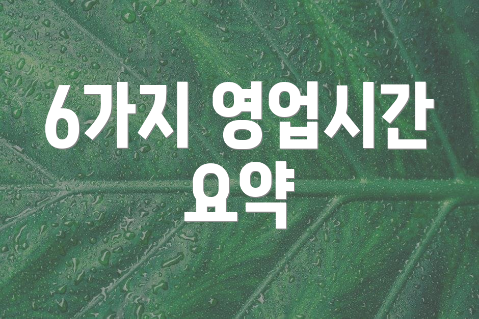 6가지 영업시간 요약
