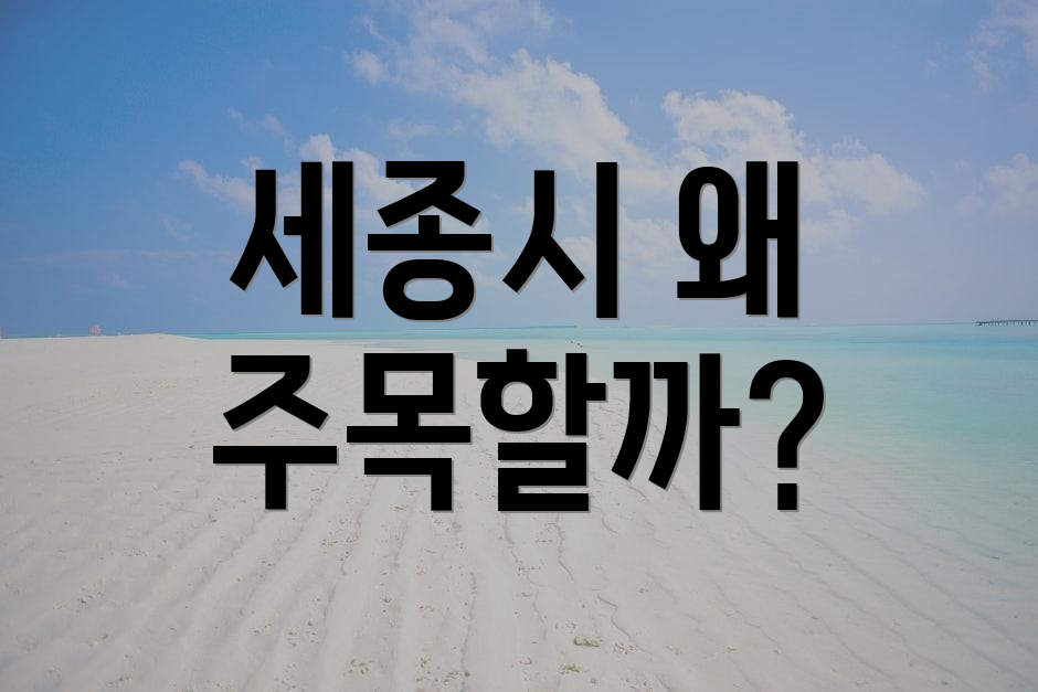 세종시 왜 주목할까?