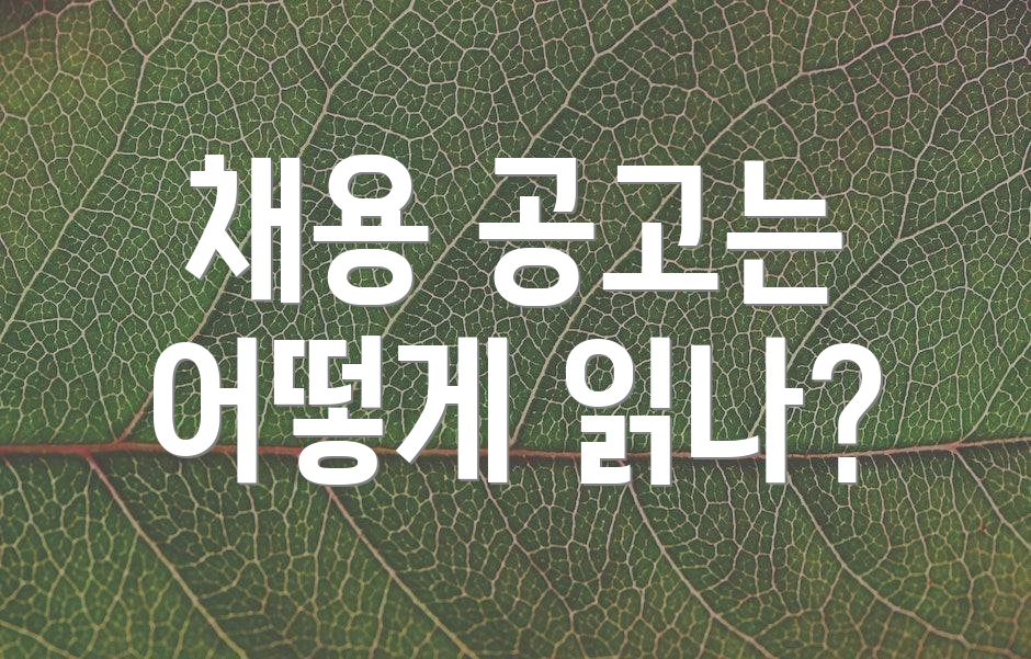 채용 공고는 어떻게 읽나?