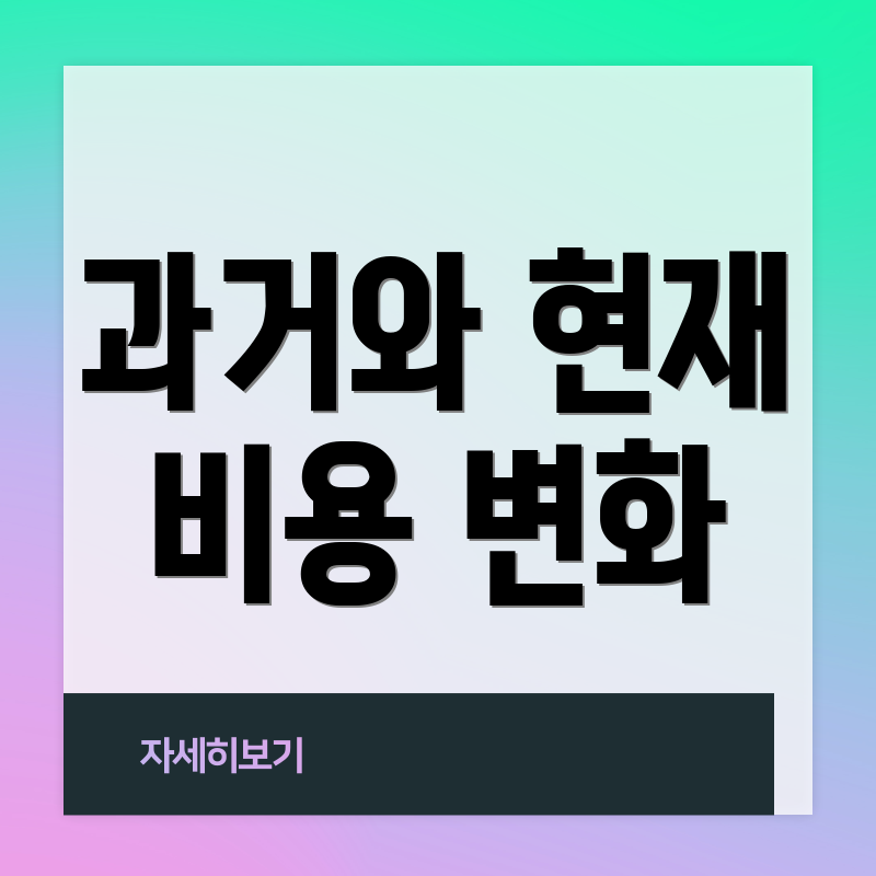 과거와 현재 비용 변화