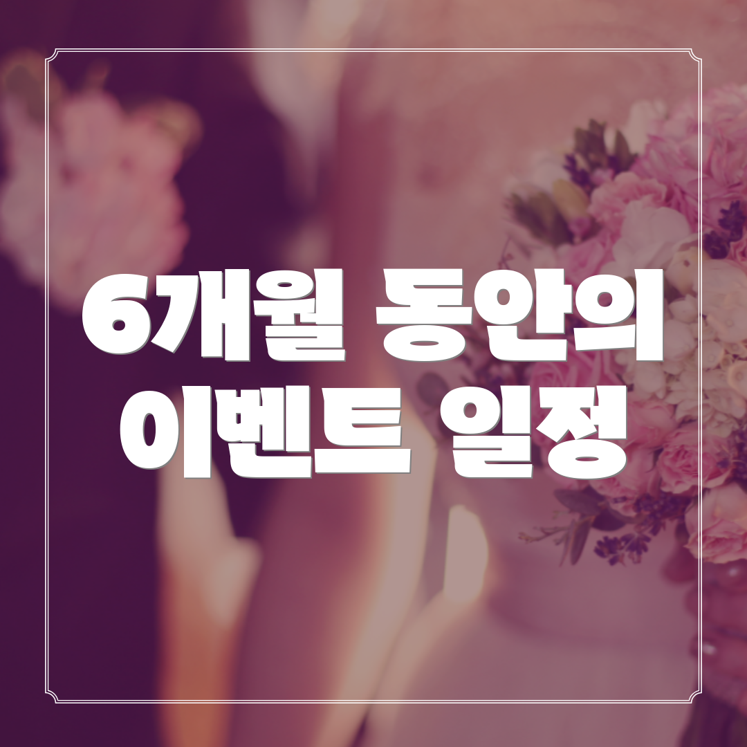 6개월 동안의 이벤트 일정