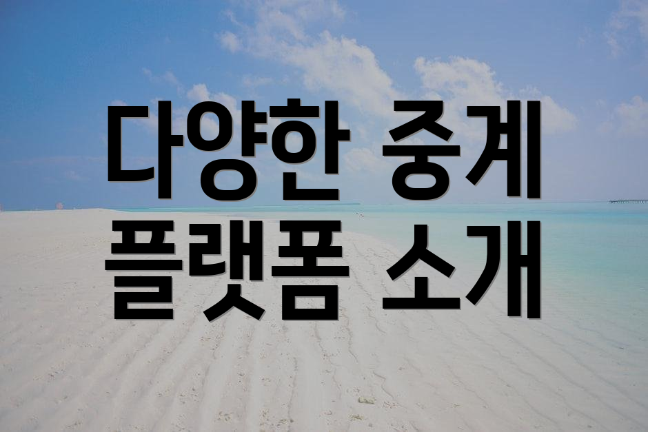 다양한 중계 플랫폼 소개