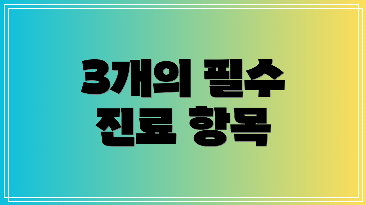 3개의 필수 진료 항목
