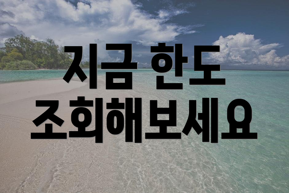지금 한도 조회해보세요