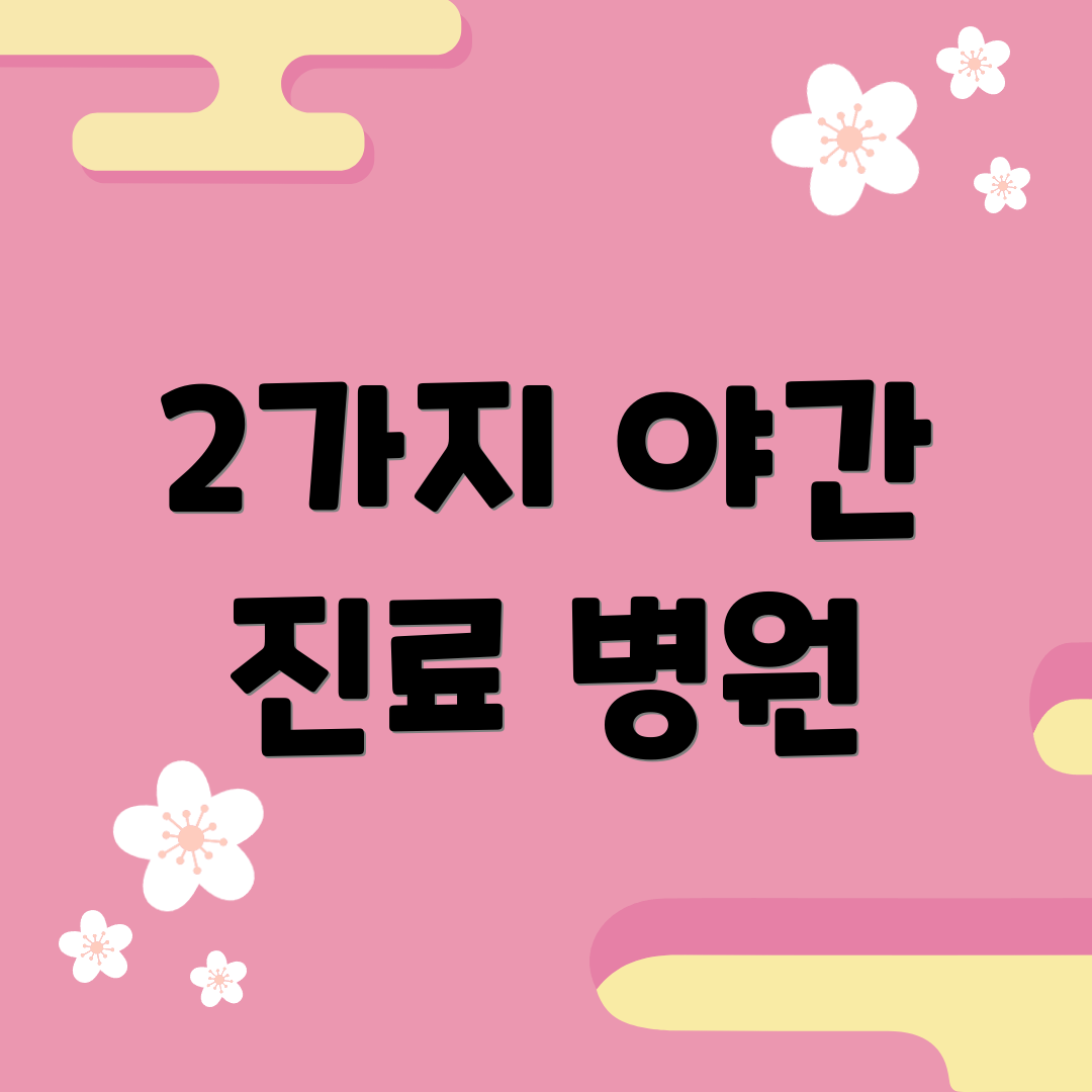 2가지 야간 진료 병원