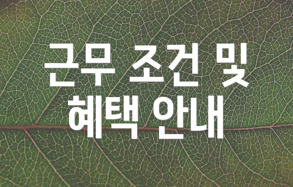 근무 조건 및 혜택 안내