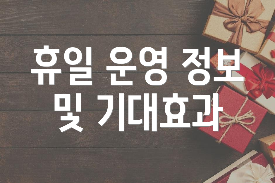 휴일 운영 정보 및 기대효과