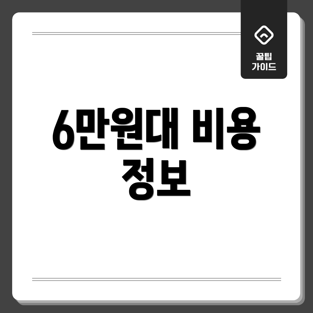 6만원대 비용 정보