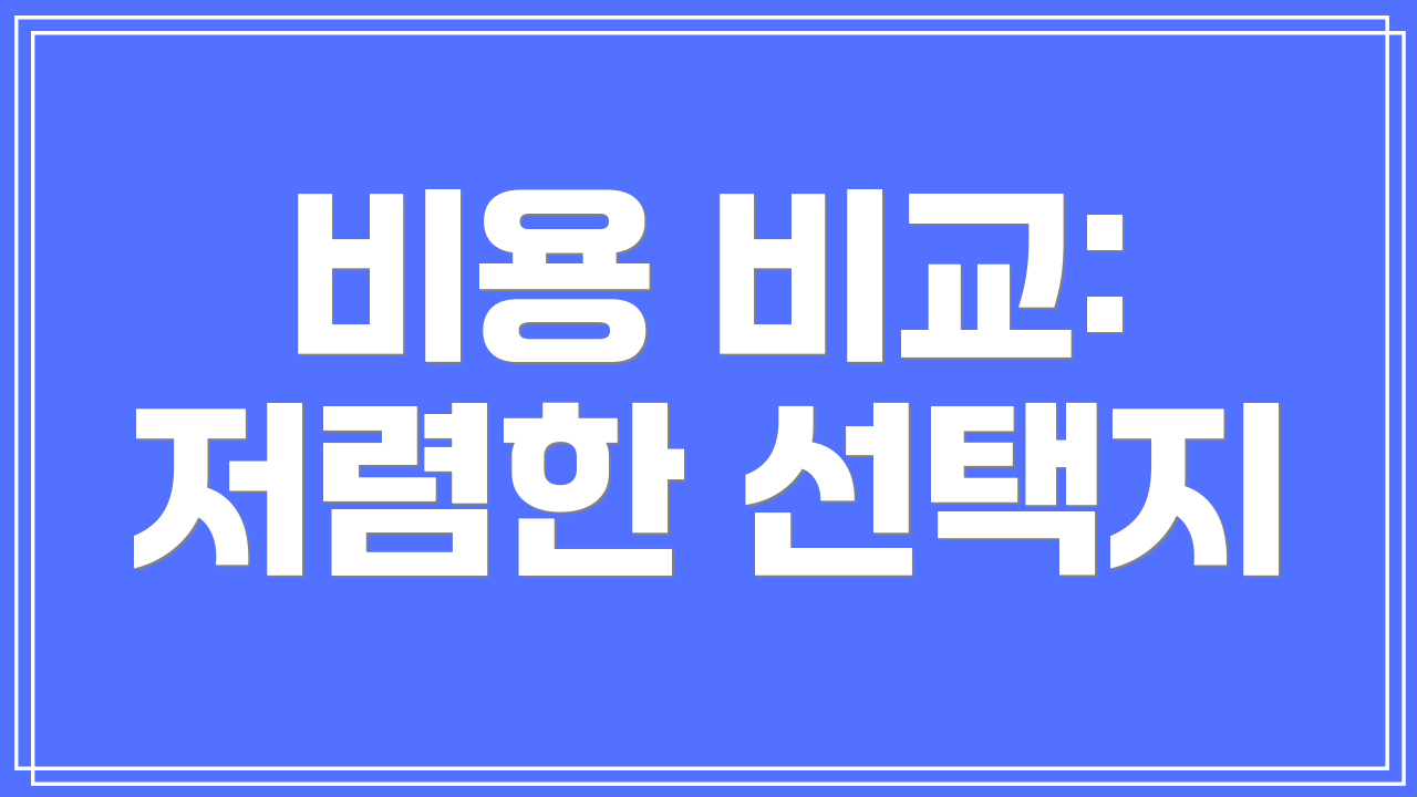 비용 비교: 저렴한 선택지