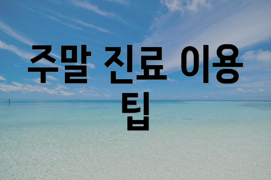 주말 진료 이용 팁