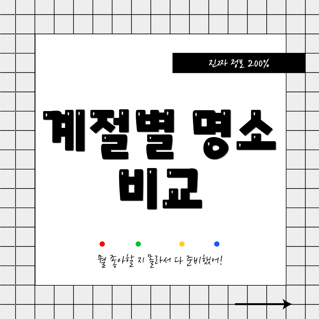 계절별 명소 비교