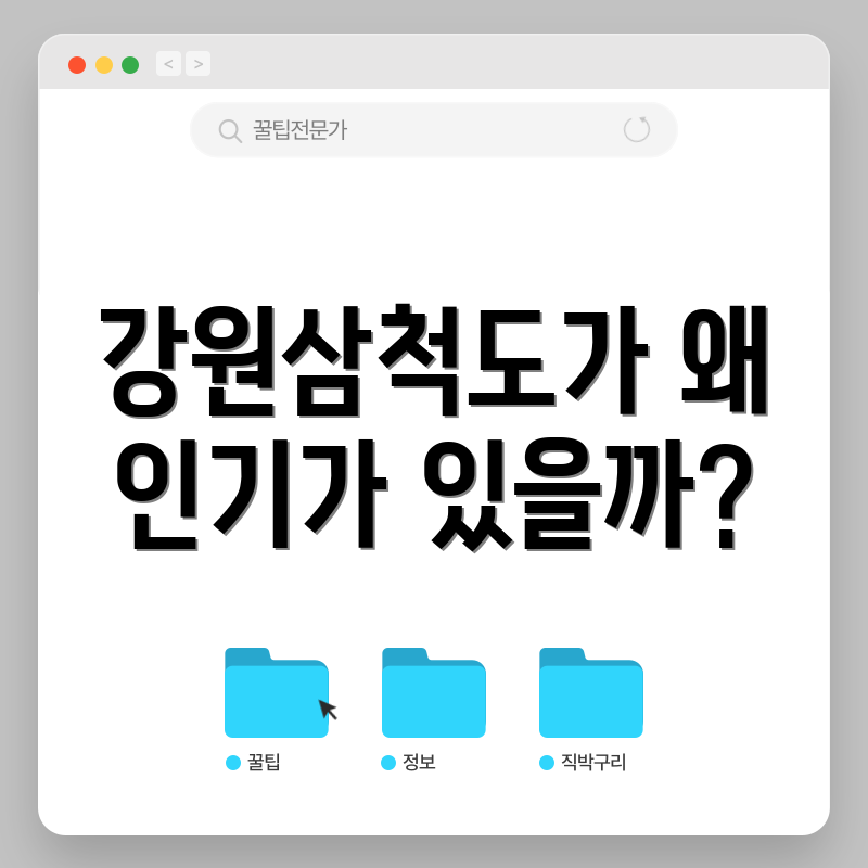 강원삼척도가 왜 인기가 있을까?