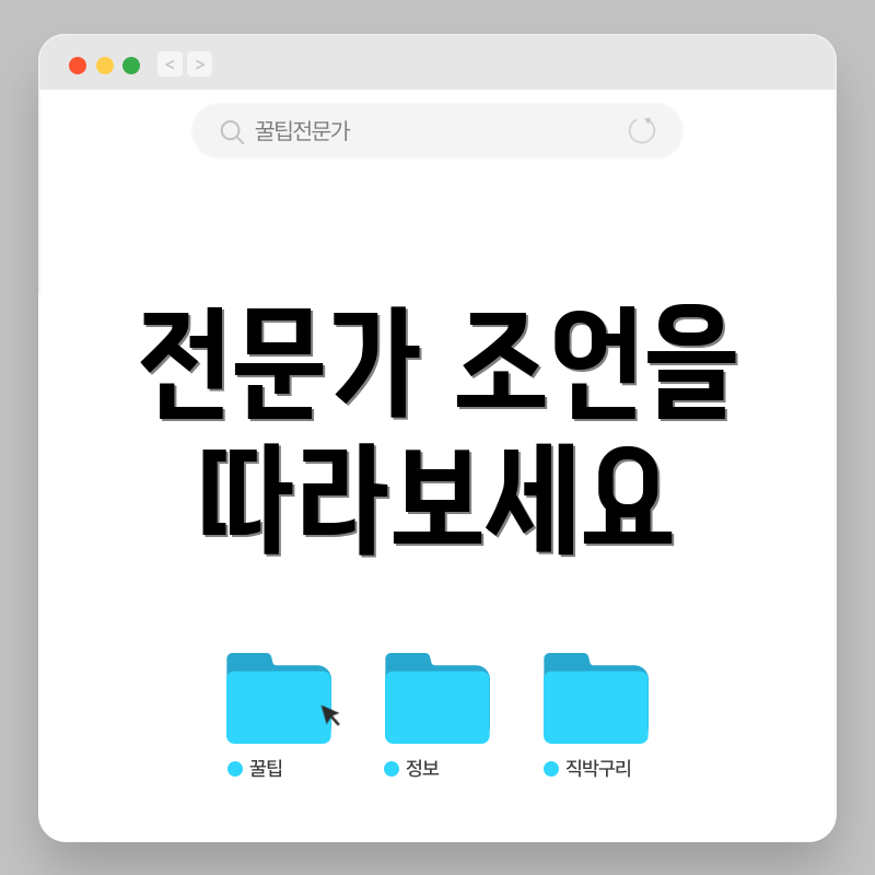 전문가 조언을 따라보세요