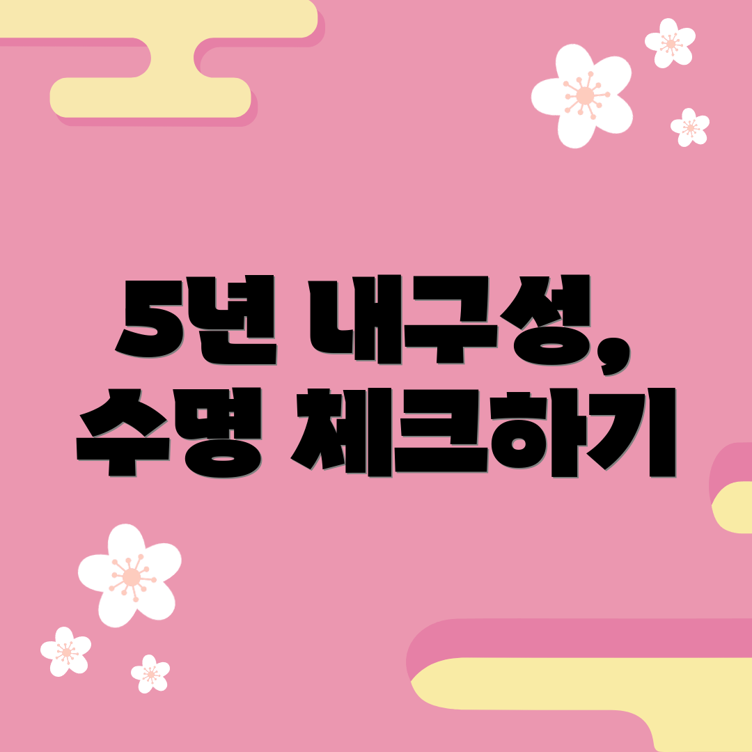 5년 내구성, 수명 체크하기