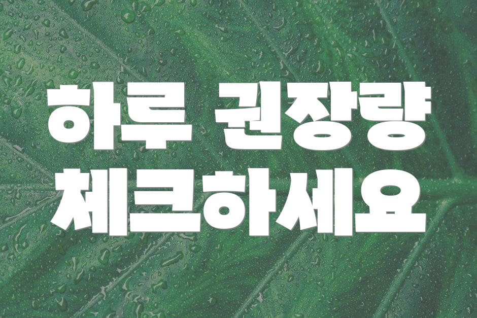 하루 권장량 체크하세요