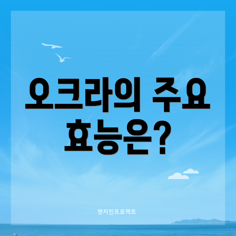 오크라의 주요 효능은?