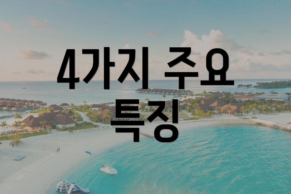 4가지 주요 특징