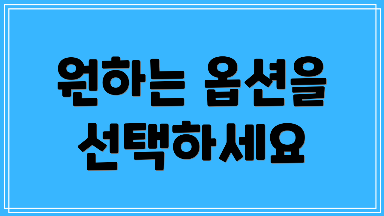 원하는 옵션을 선택하세요