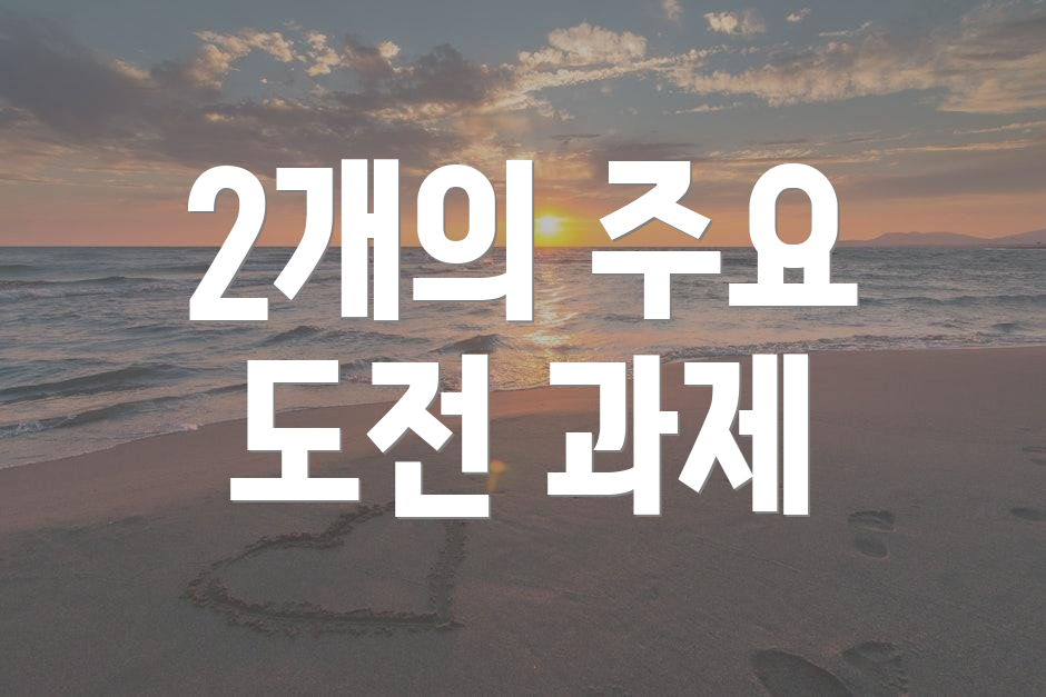 2개의 주요 도전 과제