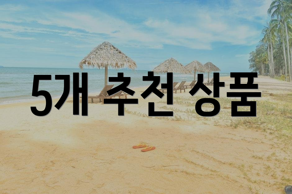 5개 추천 상품