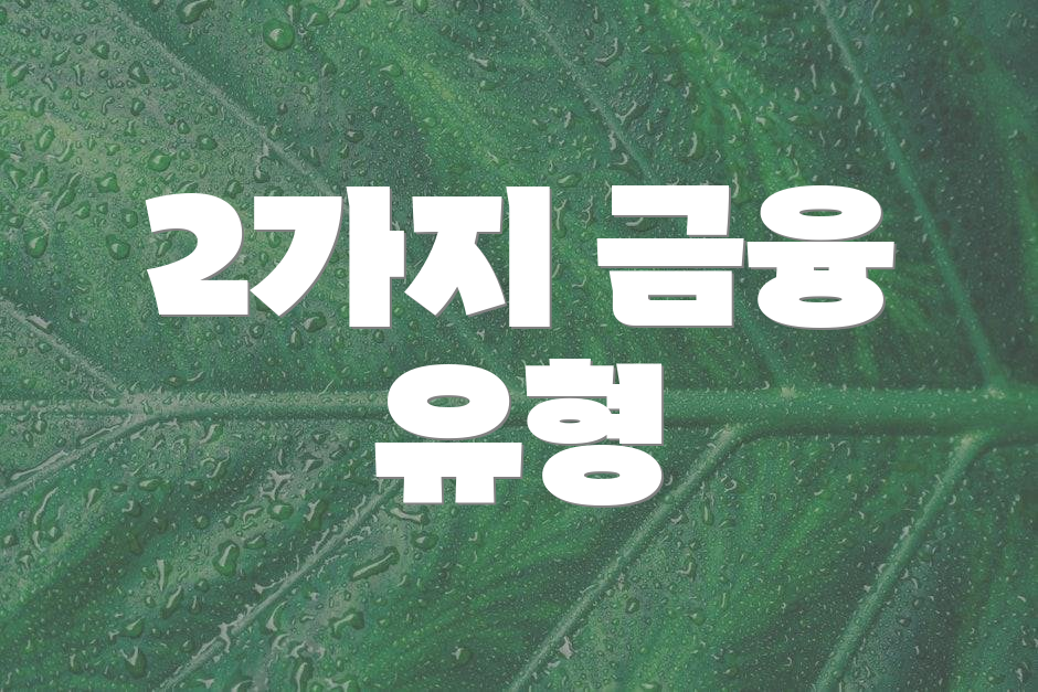 2가지 금융 유형