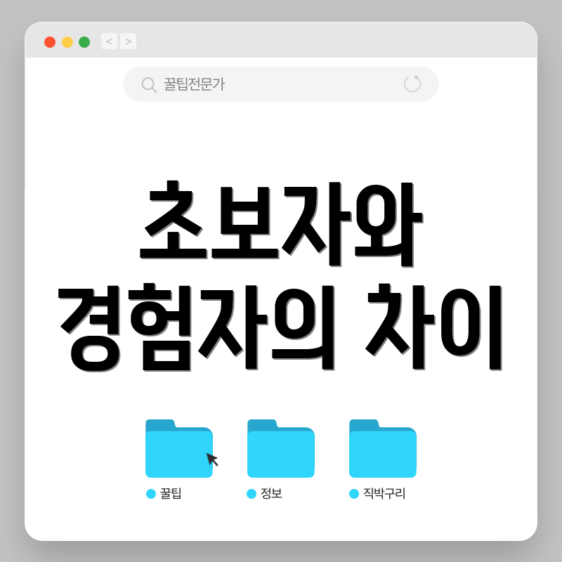 초보자와 경험자의 차이