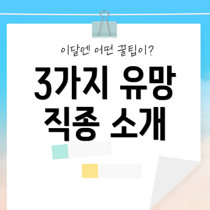3가지 유망 직종 소개