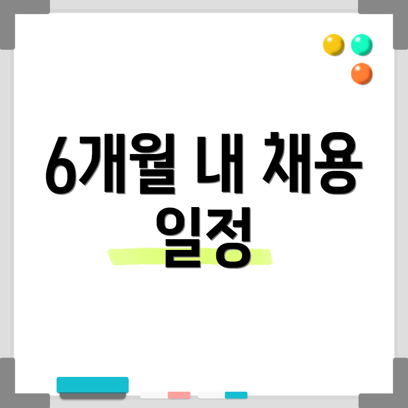 6개월 내 채용 일정