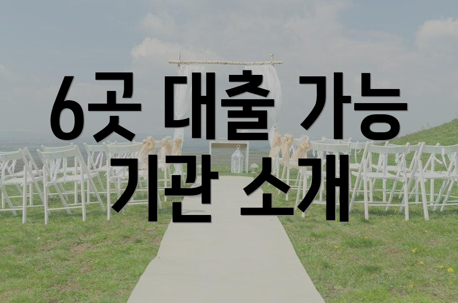 6곳 대출 가능 기관 소개