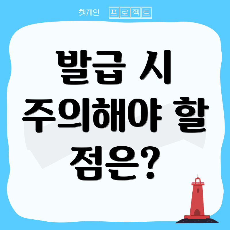발급 시 주의해야 할 점은?
