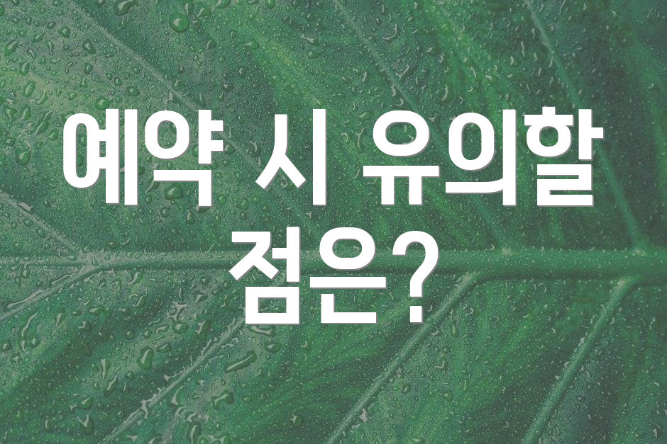 예약 시 유의할 점은?