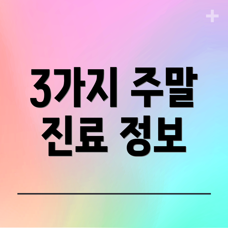 3가지 주말 진료 정보