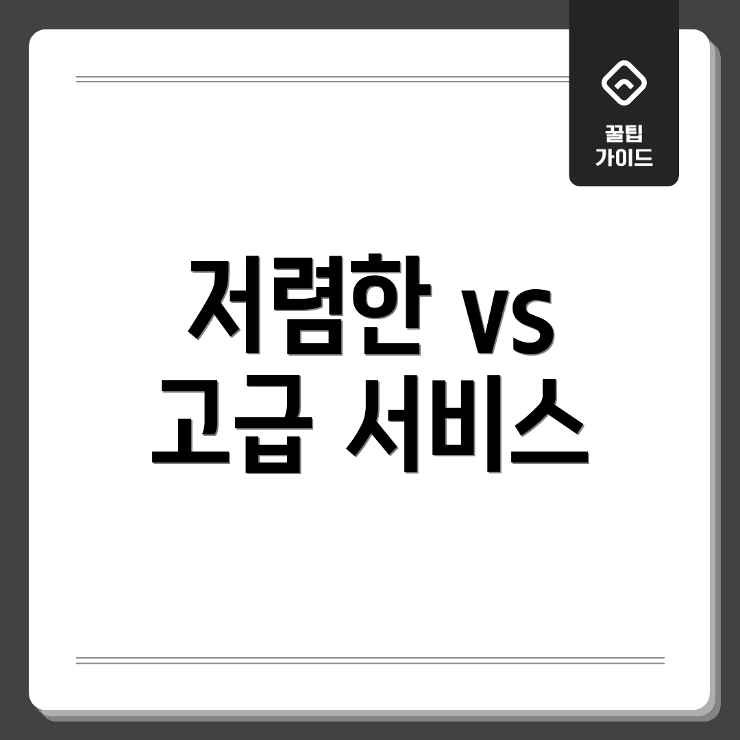 저렴한 vs 고급 서비스