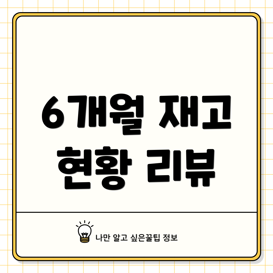 6개월 재고 현황 리뷰