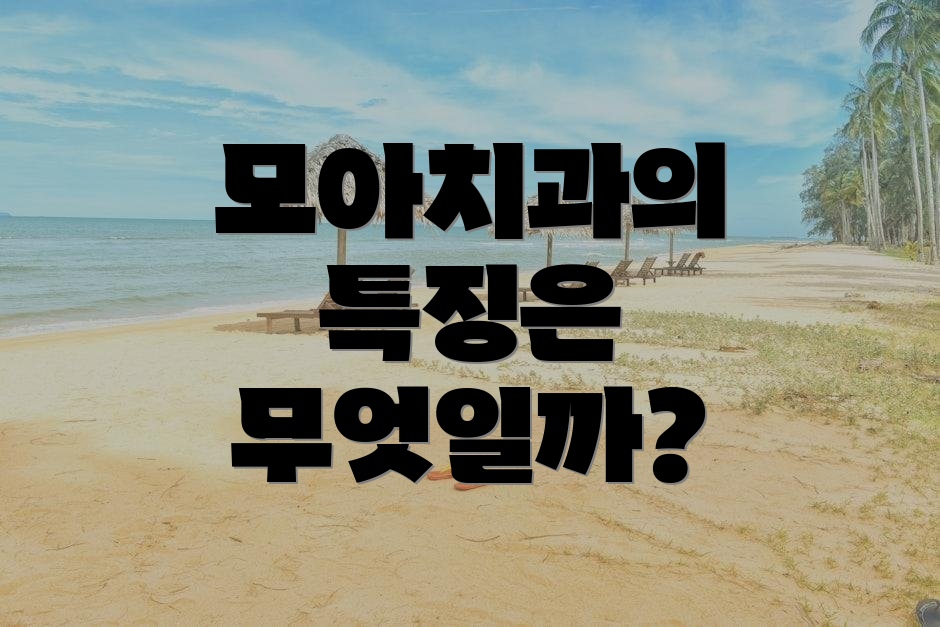 모아치과의 특징은 무엇일까?