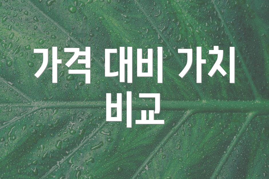 가격 대비 가치 비교