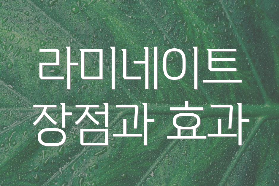 라미네이트 장점과 효과