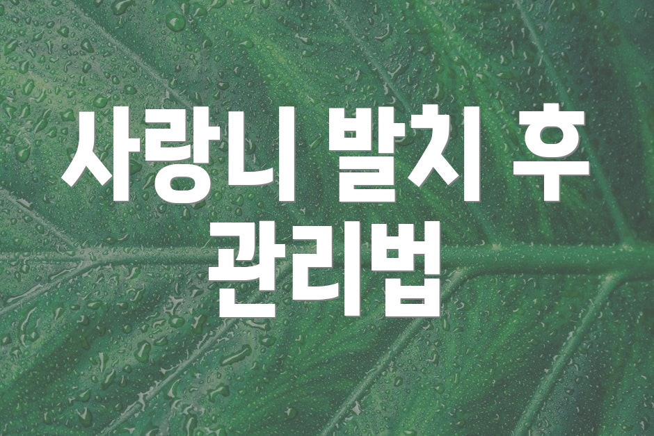 사랑니 발치 후 관리법