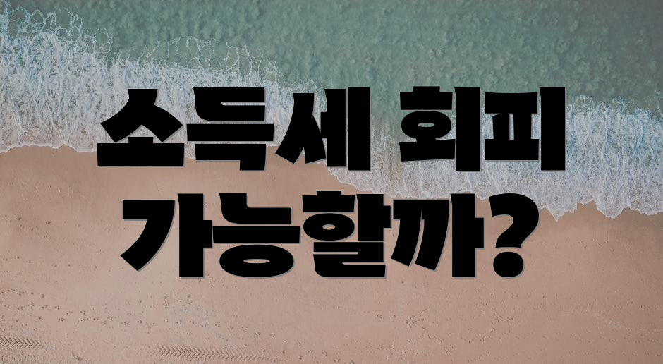 소득세 회피 가능할까?