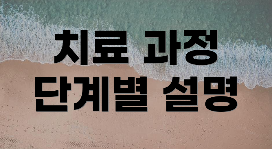 치료 과정 단계별 설명