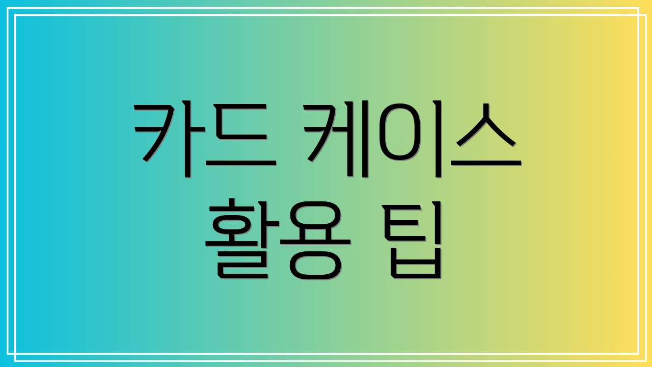 카드 케이스 활용 팁