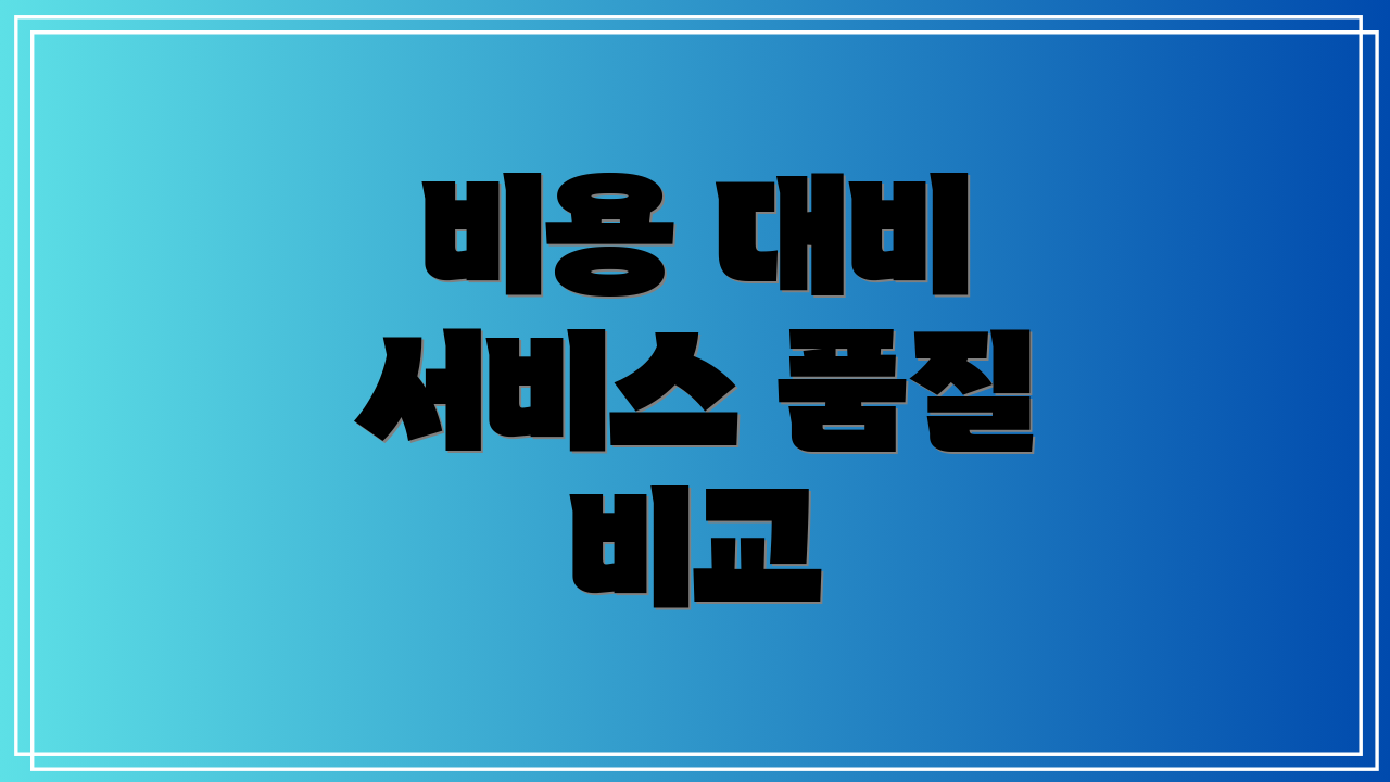 비용 대비 서비스 품질 비교