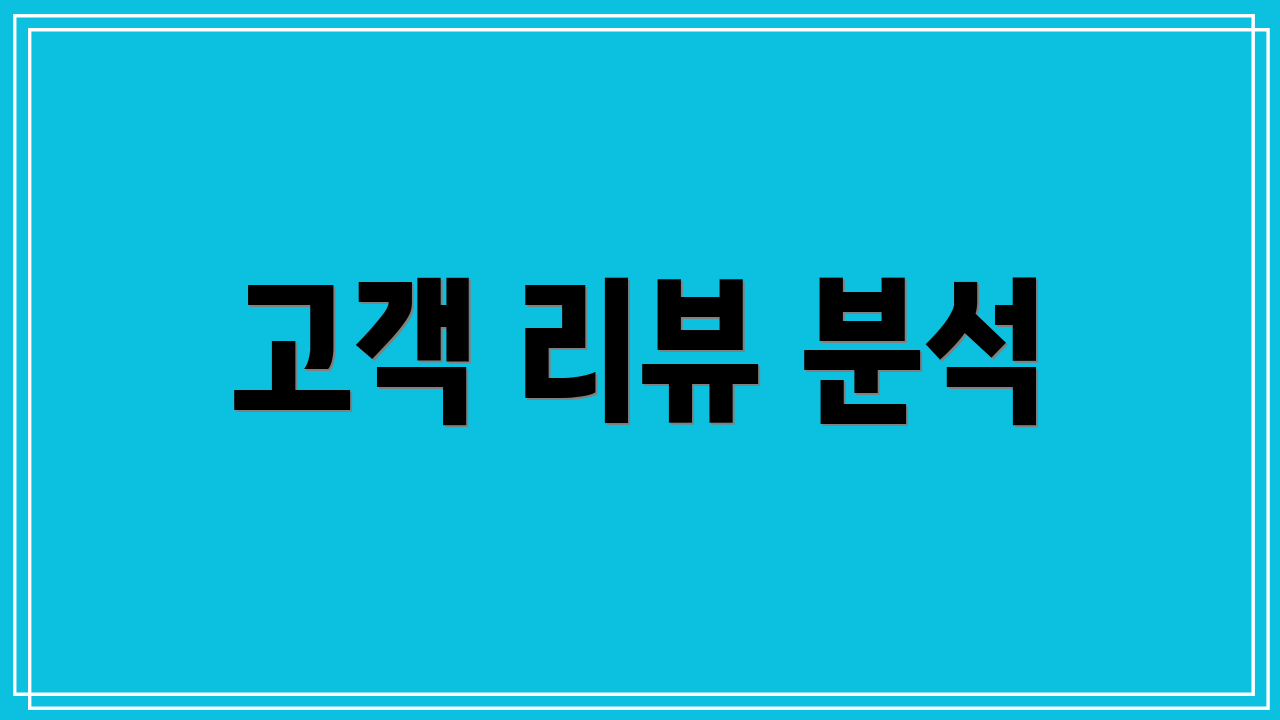 고객 리뷰 분석