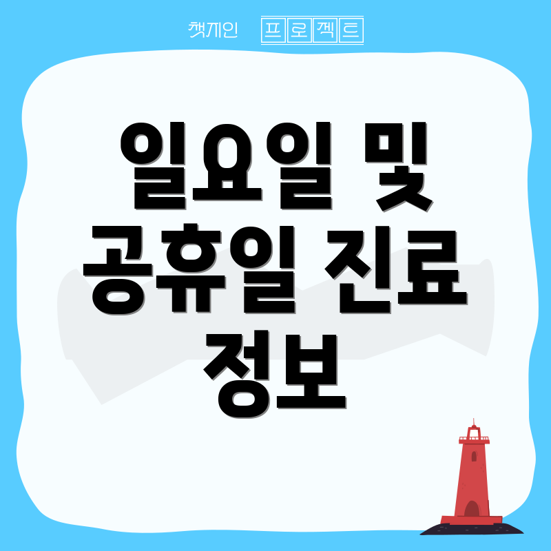 일요일 및 공휴일 진료 정보